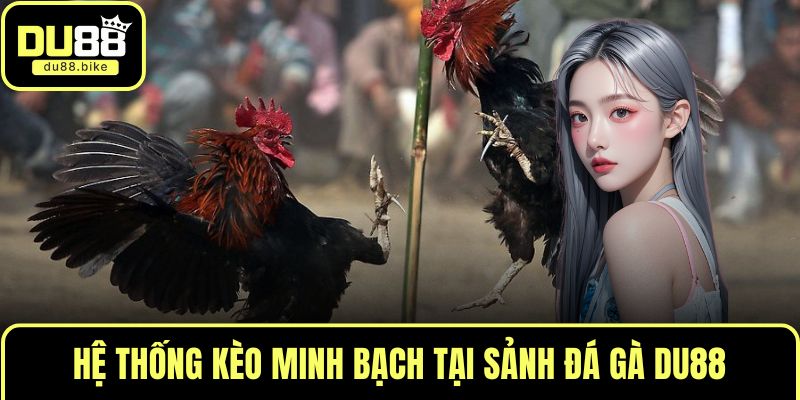 Hệ thống kèo minh bạch tại sảnh đá gà DU88