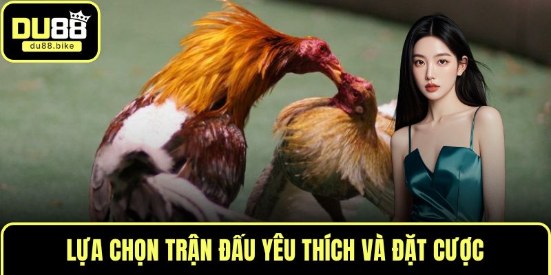 Lựa chọn trận đấu yêu thích và đặt cược
