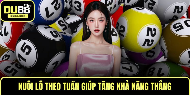 Nuôi lô theo tuần giúp tăng khả năng thắng